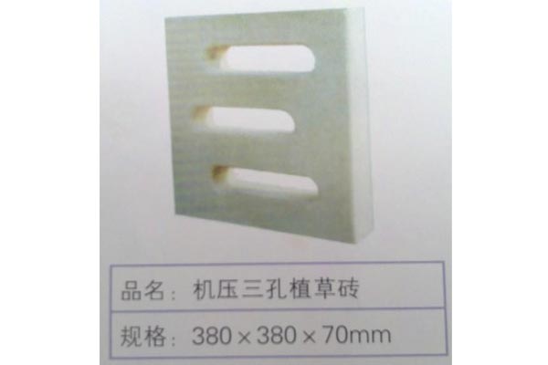 草(cǎo)坪植草(cǎo)磚