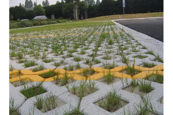 草(cǎo)坪植草(cǎo)磚