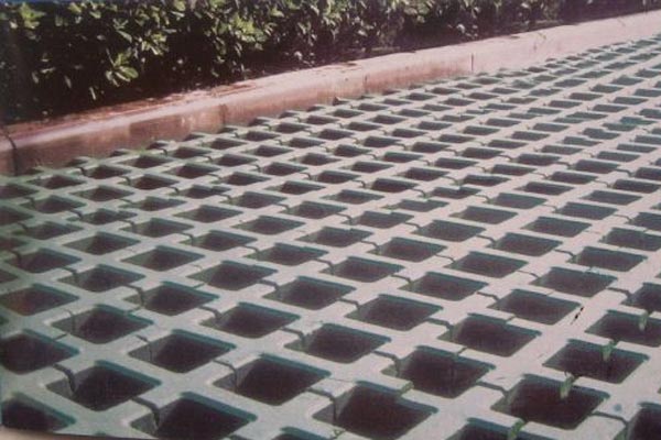 草(cǎo)坪植草(cǎo)磚