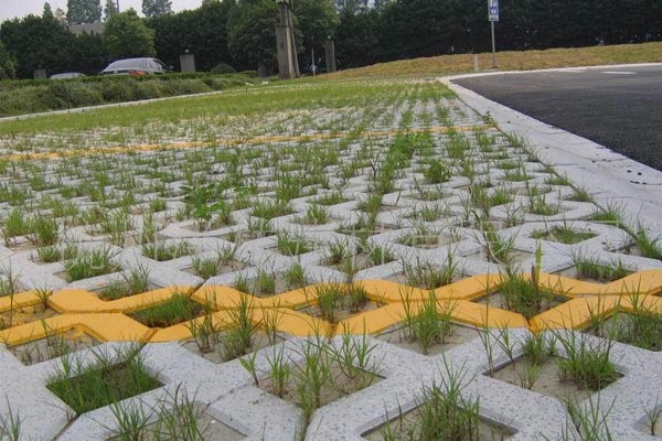 草(cǎo)坪植草(cǎo)磚